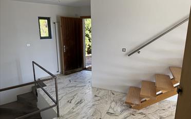 Villa 6.5 Zimmer - image - 3