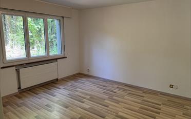 Villa 6.5 Zimmer - image - 8