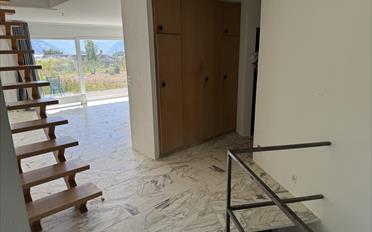 Villa 6.5 Zimmer - image - 10