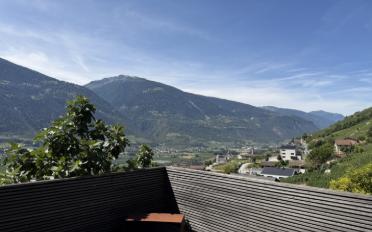 Villa 6.5 Zimmer - image - 9