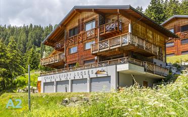 Chalet 5.5 Zimmer - image - 1