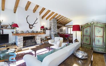 Chalet 8.5 pièces - image - 2