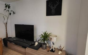 Appartement - image - 5