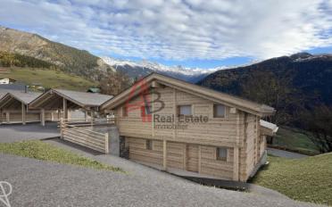 Chalet 6 pièces - image - 10