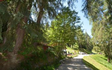Immeuble mixte - image - 10