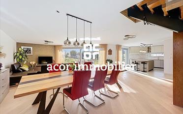 Villa 6.5 Zimmer - image - 3