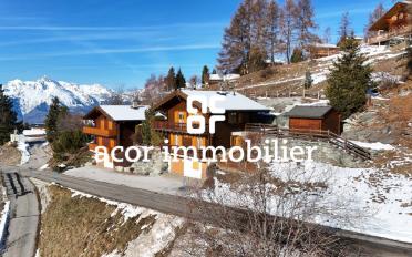 Chalet 4.5 pièces - image - 1