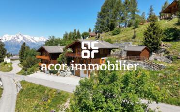 Chalet 4.5 Zimmer - image - 2