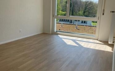 Wohnung 2.5 Zimmer - image - 1