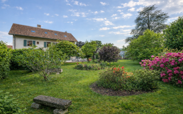 Single house - image - 4