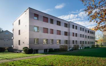 Wohnung 2.5 Zimmer - image - 1