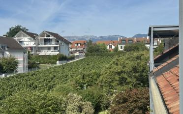 Duplex 5.5 rooms - image - 11