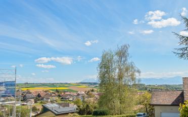 Villa 6 Zimmer - image - 8