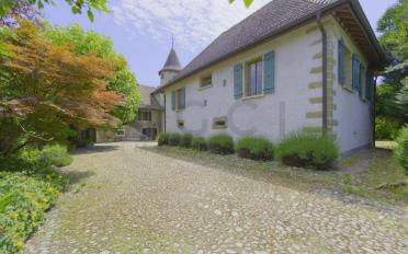 Single house 18 rooms - image - 4