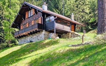 Chalet 3.5 Zimmer - image - 17