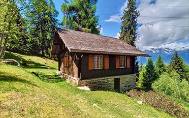 Chalet 3.5 Zimmer - image - 20