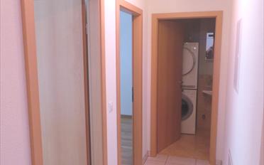 Wohnung 3.5 Zimmer - image - 4
