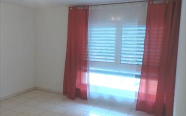 Wohnung 3.5 Zimmer - image - 5