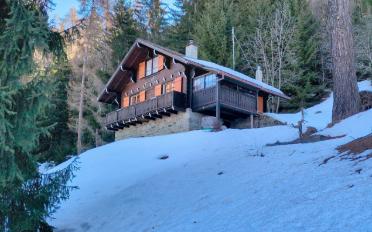 Chalet 3.5 rooms - image - 4