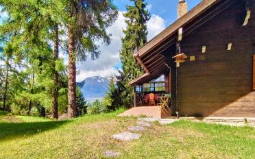 Chalet 3.5 rooms - image - 10