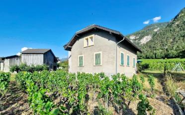 Maison - image - 20