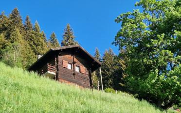 Chalet 3.5 pièces - image - 14