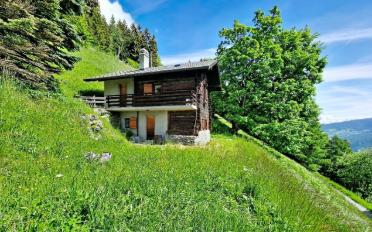 Chalet 3.5 pièces - image - 16