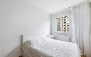 Wohnung 6.5 Zimmer - image - 11