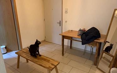 Appartement 3.5 pièces - image - 6
