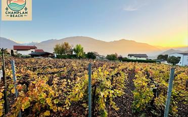 Einfamilienhaus 5.5 Zimmer - image - 4
