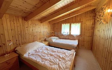 Chalet 6.5 pièces - image - 6