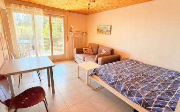 Studio 1.5 rooms - image - 1
