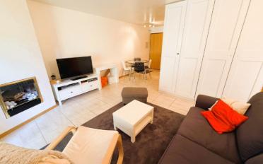 Terrace flat 2.5 rooms - image - 3