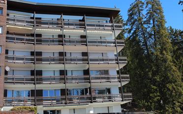 Roof flat 2.5 rooms - image - 14