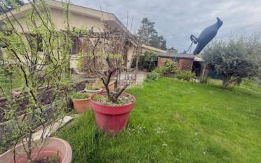 Einfamilienhaus 8.5 Zimmer - image - 4