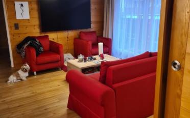 Wohnung 2.5 Zimmer - image - 3