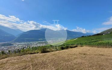 Apartment 4.5 rooms - image - 7