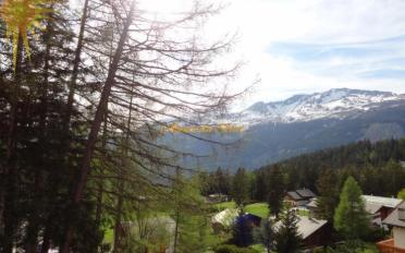Wohnung - image - 7