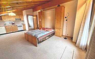 Chalet 8.5 pièces - image - 9