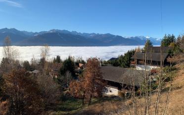 Chalet 4 rooms - image - 12