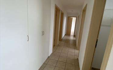 Apartment 4.5 rooms - image - 7