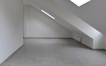 Wohnung 3.5 Zimmer - image - 3