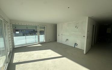 Wohnung 2.5 Zimmer - image - 3