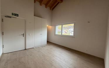 Geschäftshaus 2.5 Zimmer - image - 1