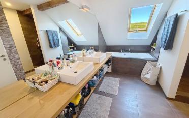 Farm house 12.5 rooms - image - 13
