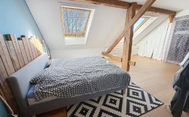 Farm house 12.5 rooms - image - 12