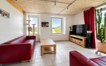 Single house 12 rooms - image - 11