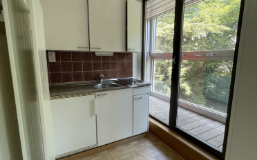Apartment 1 room - image - 4