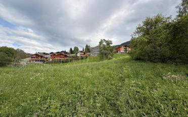 Bauland - image - 3