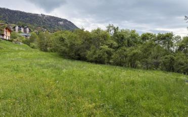 Bauland - image - 2